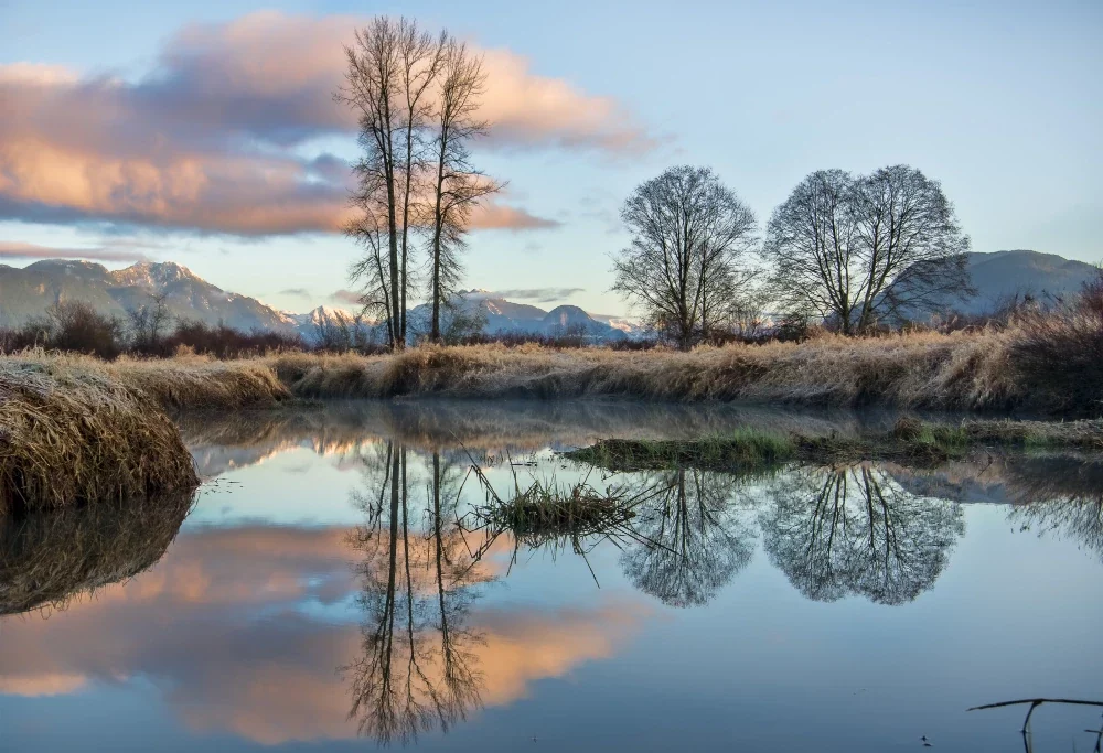 Reflet d’un lac miroir entouré de montagnes et d’arbres – illustration symbolique de l’accompagnement psycho-astro à Paris 20e, Approche Centrée sur la Personne (ACP)